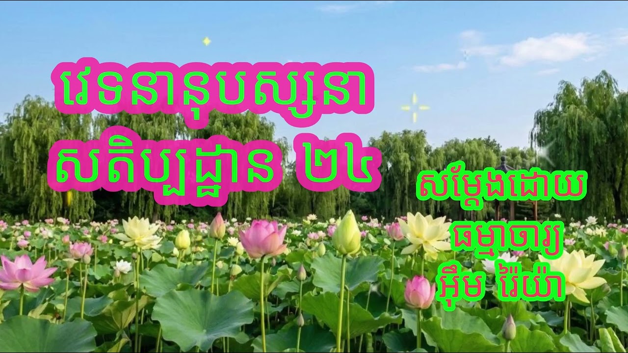 វេទនានុបស្សនាសតិប្បដ្ឋាន​​ ២៤ បង្រៀនដោយ ធម្មាចារ្យ អ៊ឹម រ៉ៃយ៉ា #ធម៌អប់រំចិត្ត #ធម៌អប់រំជីវិត #ទេសនា