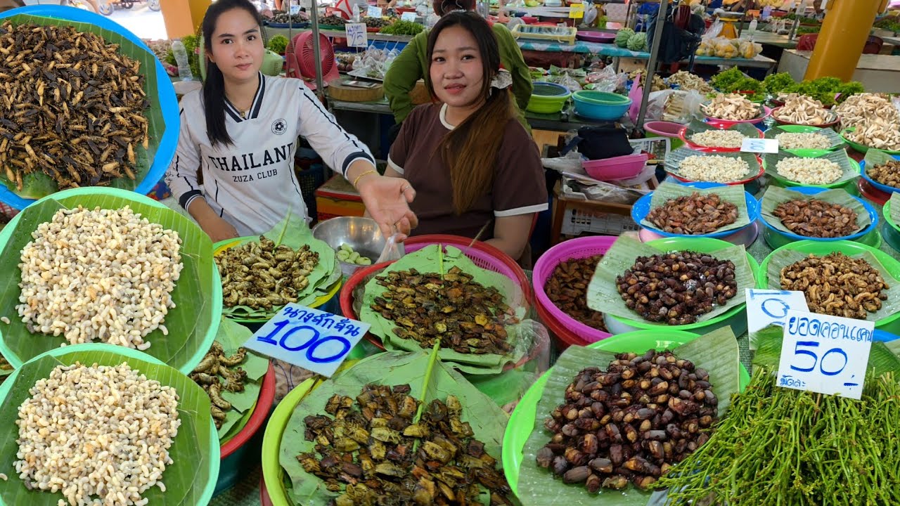 ตลาดอาหารป่า จ.มุกดาหาร | ฮวก จั๊กจั่น แมงแคง ไข่มดแดง