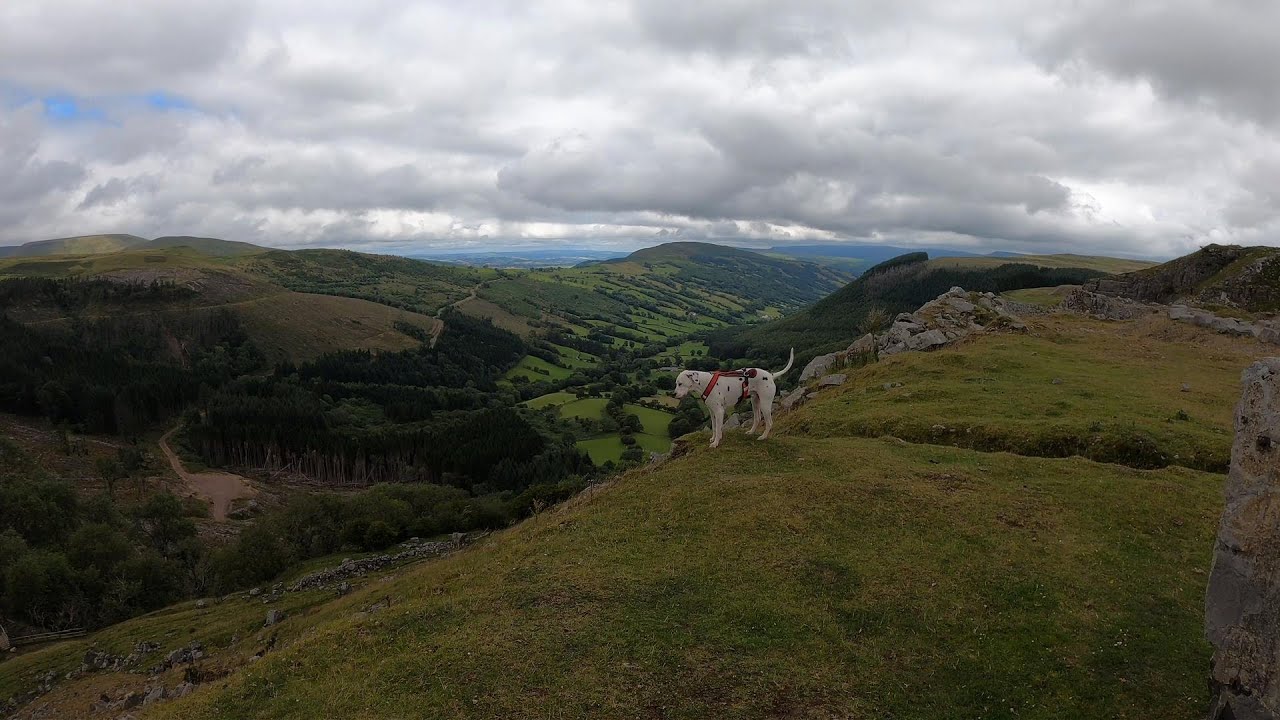 CANICROSS THE BRECON BEACONS - TREFIL QUARRY (VIDEO 14)