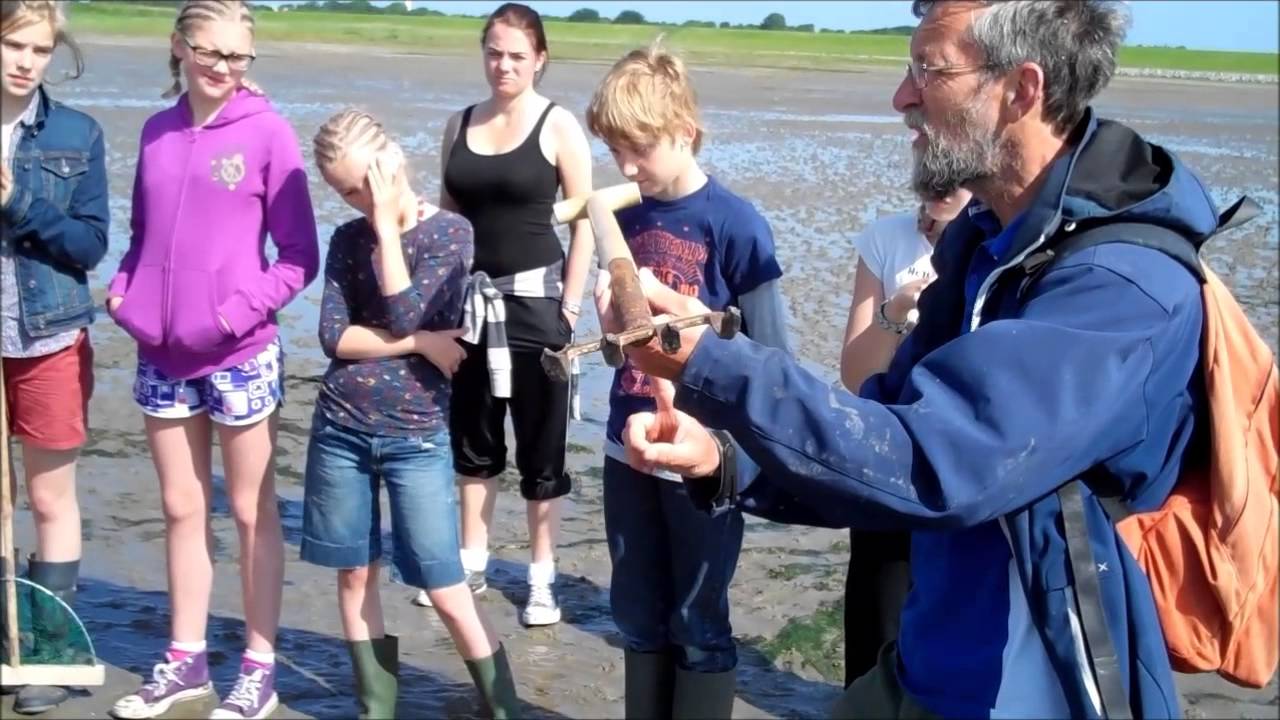 Wadexcursie Het Lichtschip - 2 juli 2013