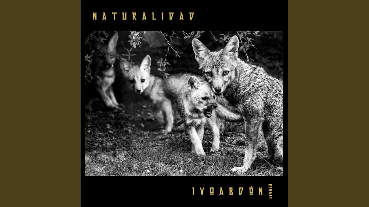 Naturalidad
