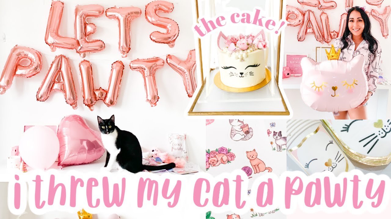 Throwing my Cat a BIRTHDAY PARTY - DIYS, Extra, Over the top, Party | Roxy James 