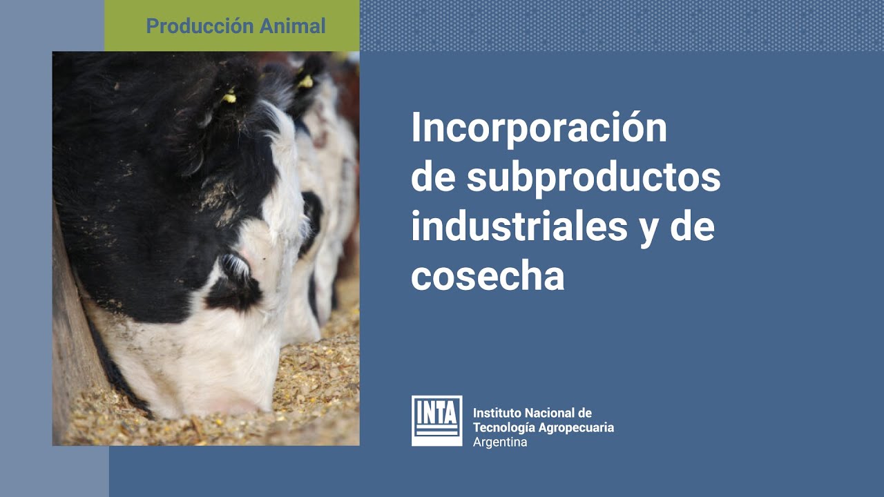 Aspectos de la alimentación eficiente en vacas lecheras