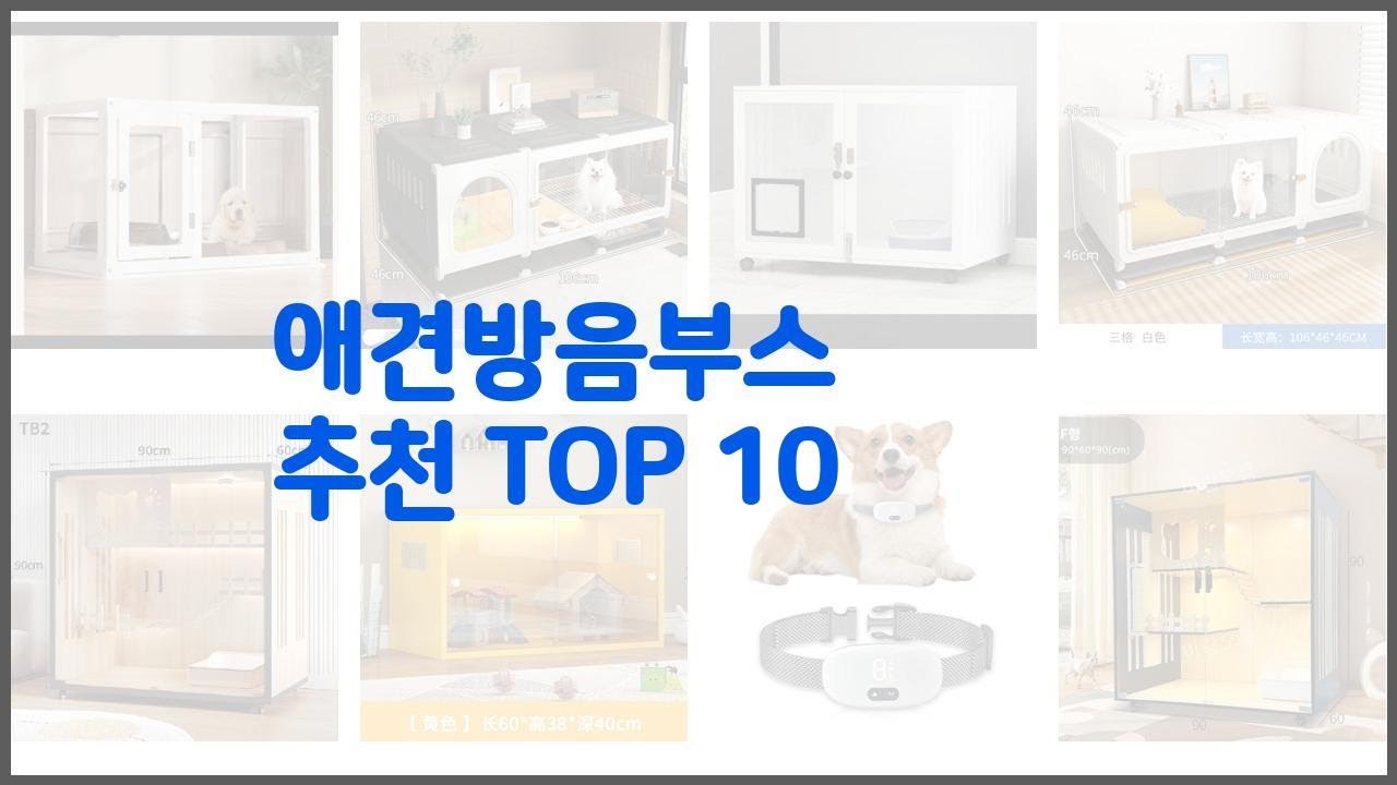 애견방음부스 추천 후회 없는 쇼핑 가격 대비 성능이 우수한 상품 10가지