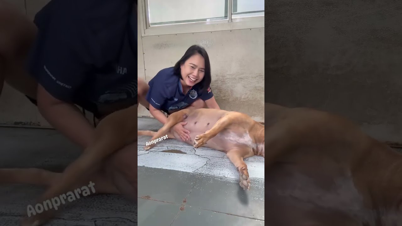 Cute girl and dog #dogowner #cutedog#doglove 