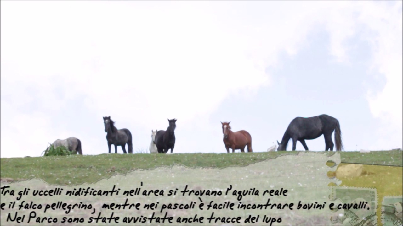 #TiRacconto il Parco dei Monti Lucretili - Life Go Park