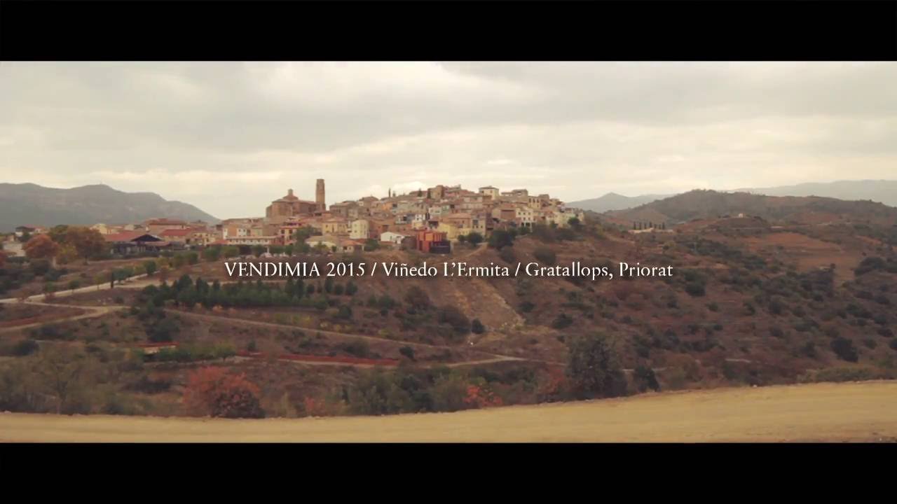 Vendimia 2015. Viñedo L'Ermita. Gratallops, Priorat