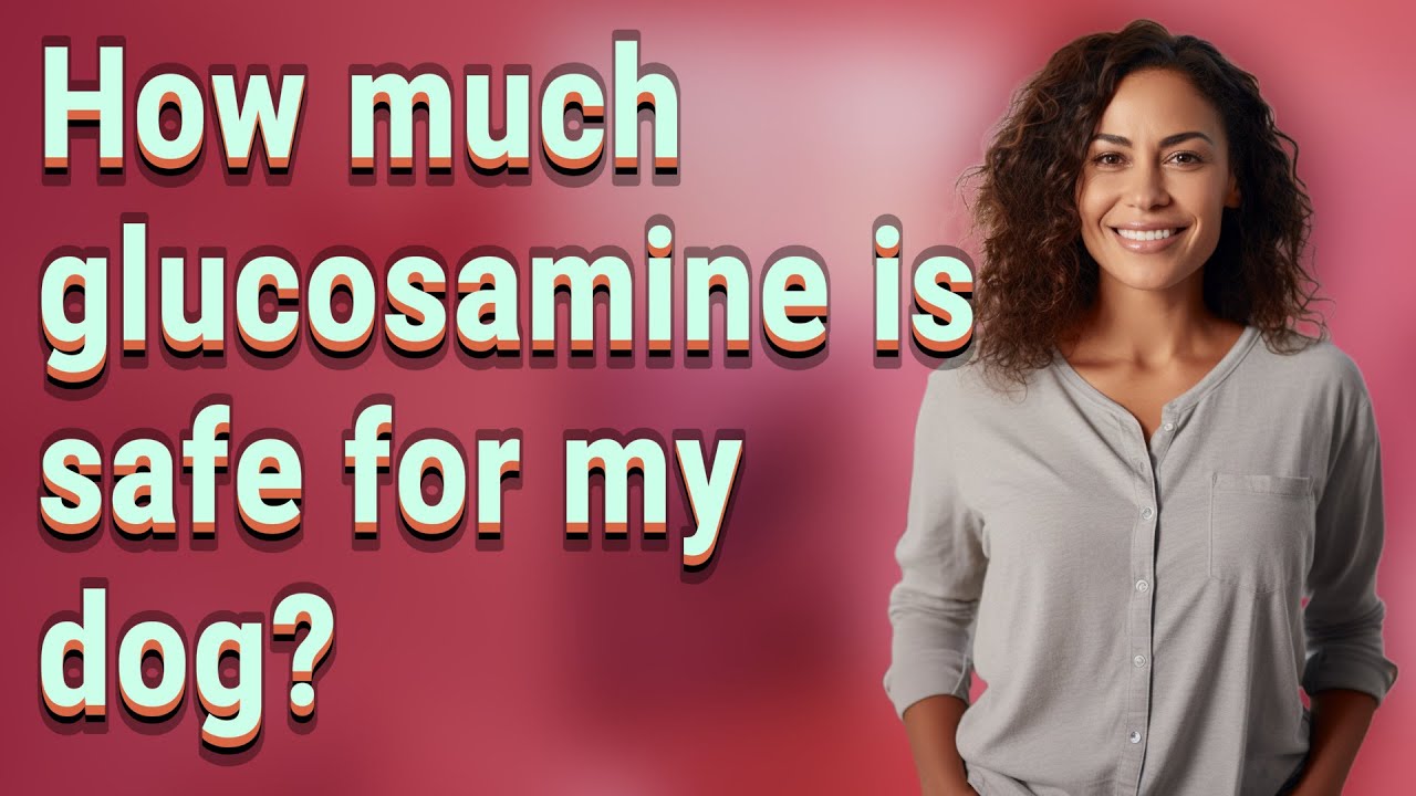 How much glucosamine is safe for my dog?