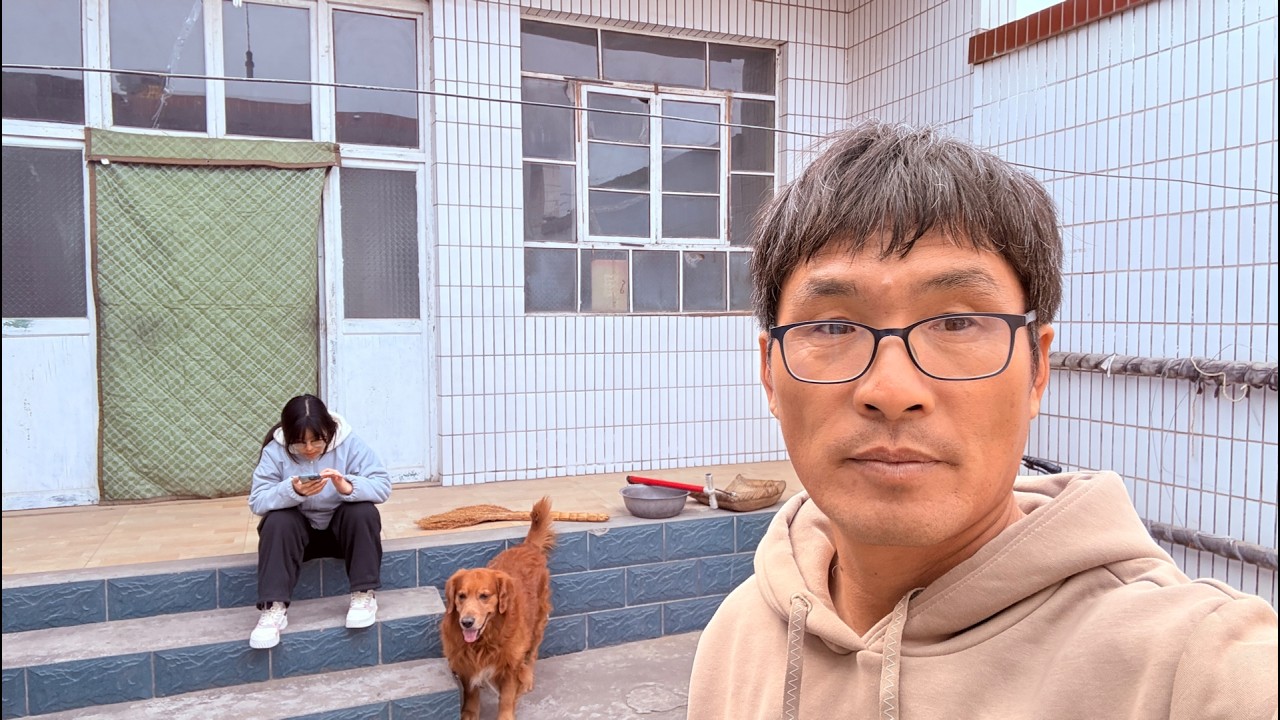 女儿硬塞给奶奶五百零花钱尽孝心，胖胖的大金毛成了上车困难户！