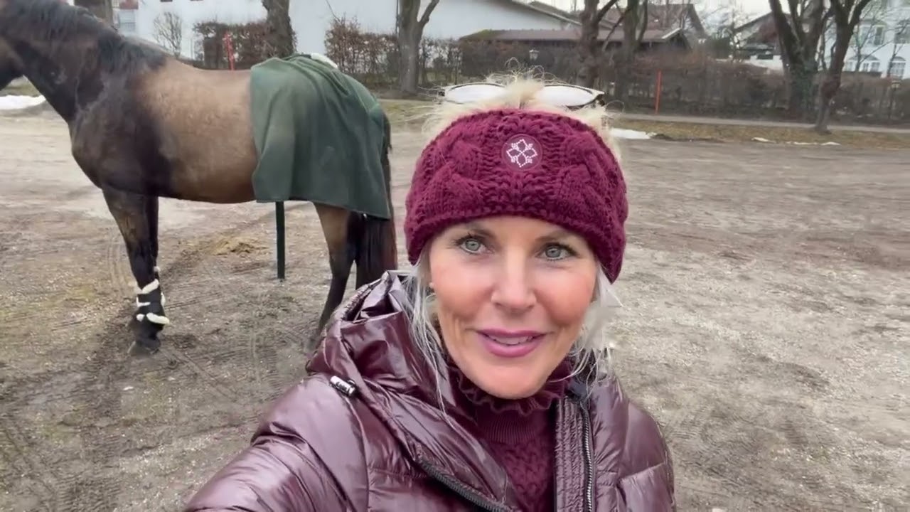 Mit dem Hengst im Sozialtraining 🤭🐴