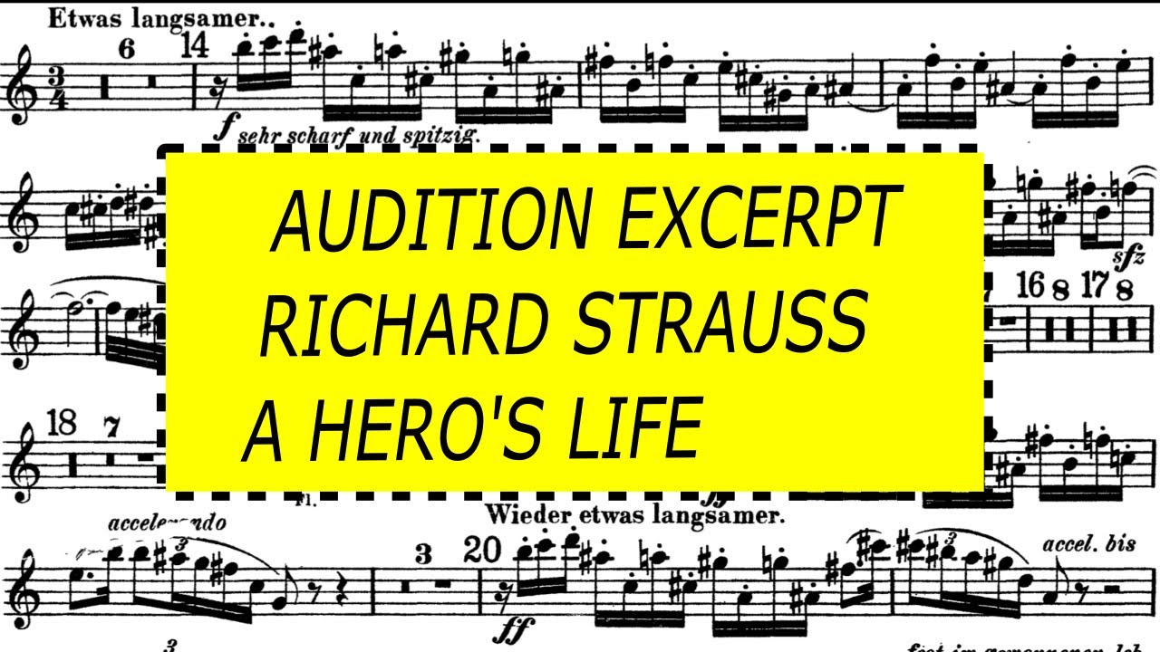 Audition Excerpt / Richard Strauss / A hero's life / Ein Heldenleben