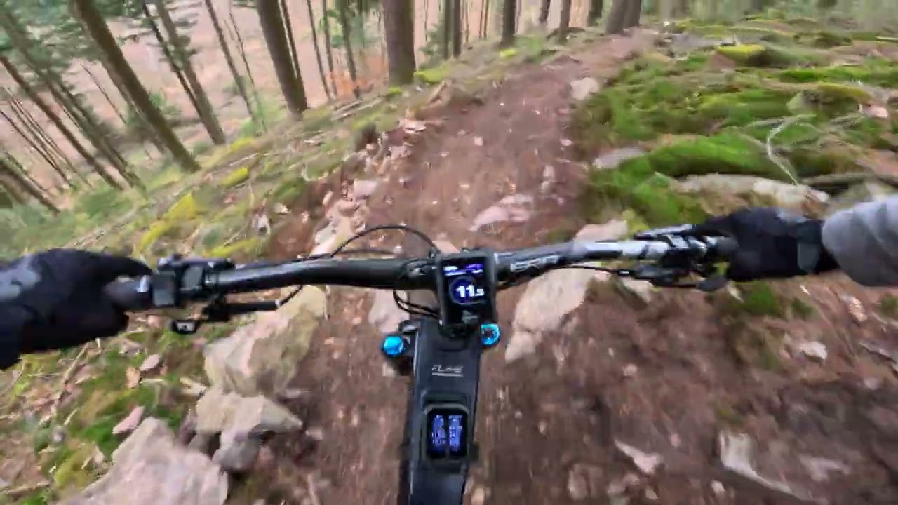 Eggberg Red Line 🇩🇪 | Rock Beds & Enduro Flow | First Run