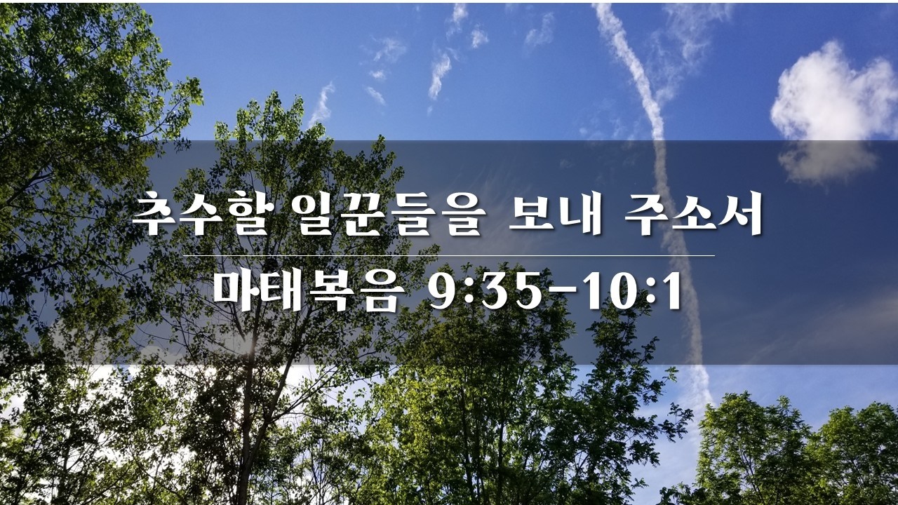 추수할 일꾼들을 보내 주소서 (마태복음 9:35-10:1)