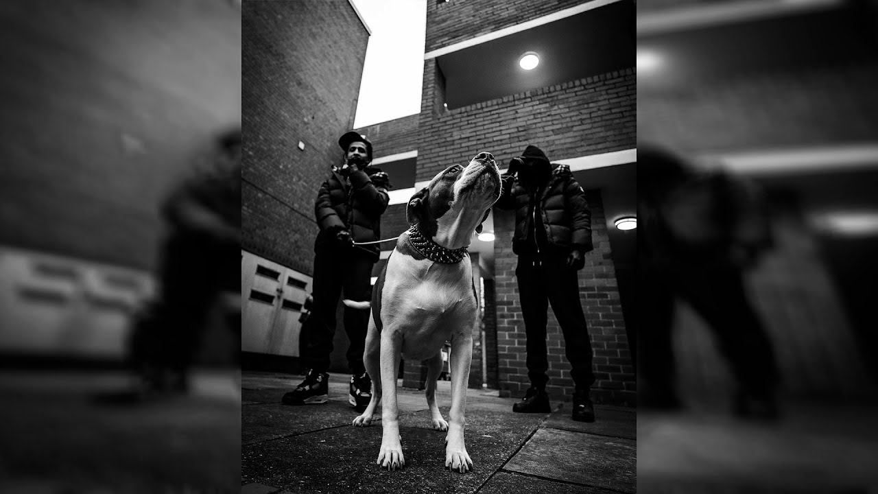 Freestyle Boom Bap Beat | 