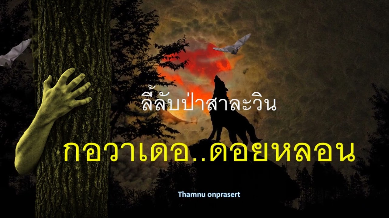 ๑๑๘.กอวาเดอ..ดอยหลอน ลี้ลับป่าสาละวิน