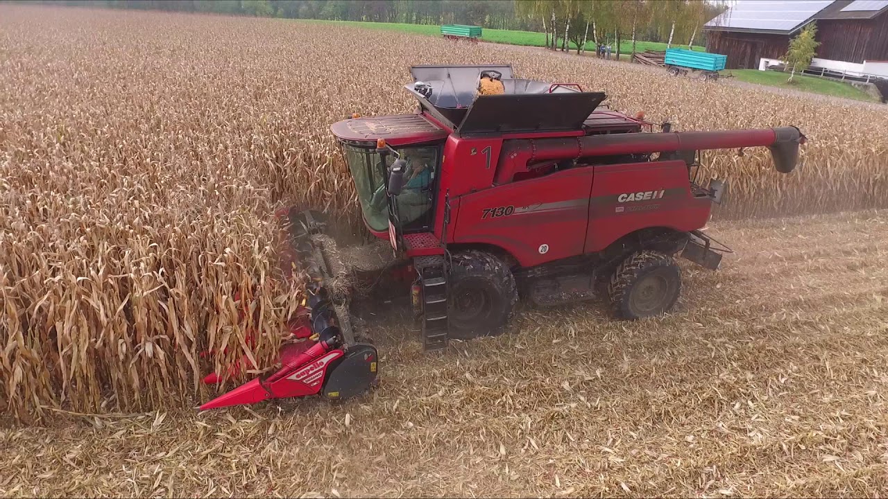 Maisdreschen 2017 mit Case IH Axial-Flow 7130 und John Deere