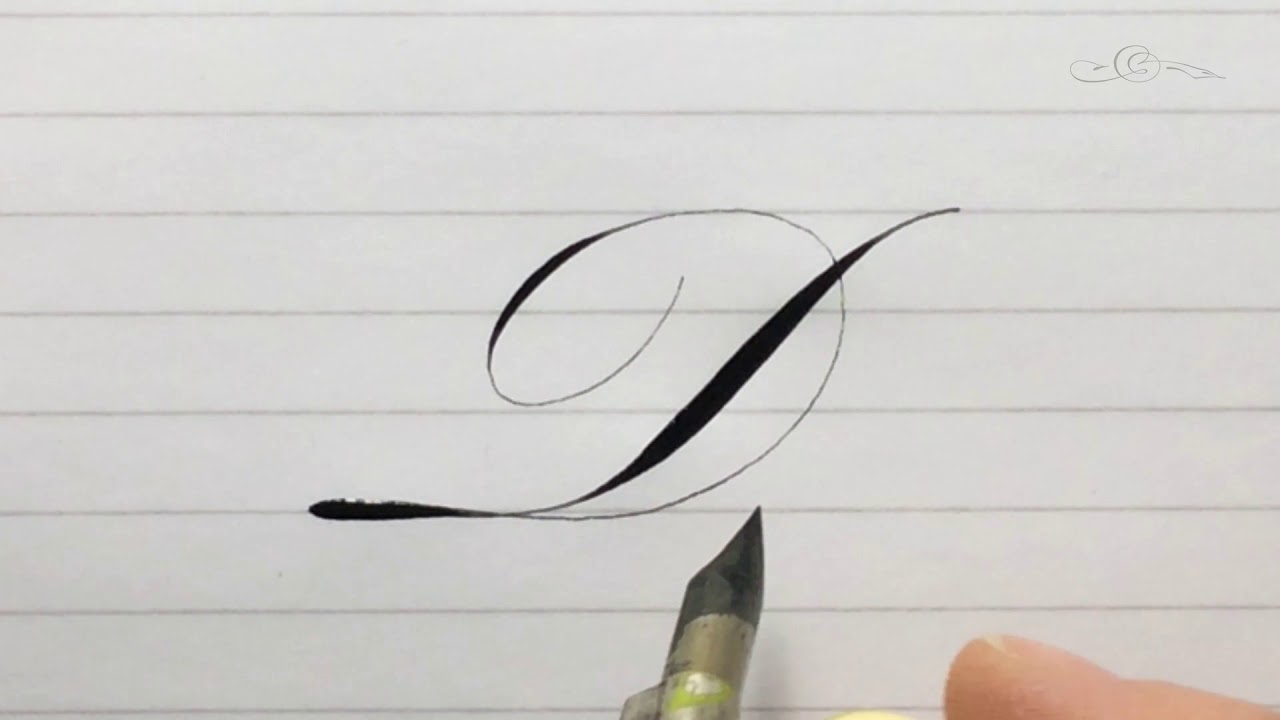 The Letter D in an 'Italian' Style Accented Engrosser's / Roundhand Pointed Pen Calligraphy Script