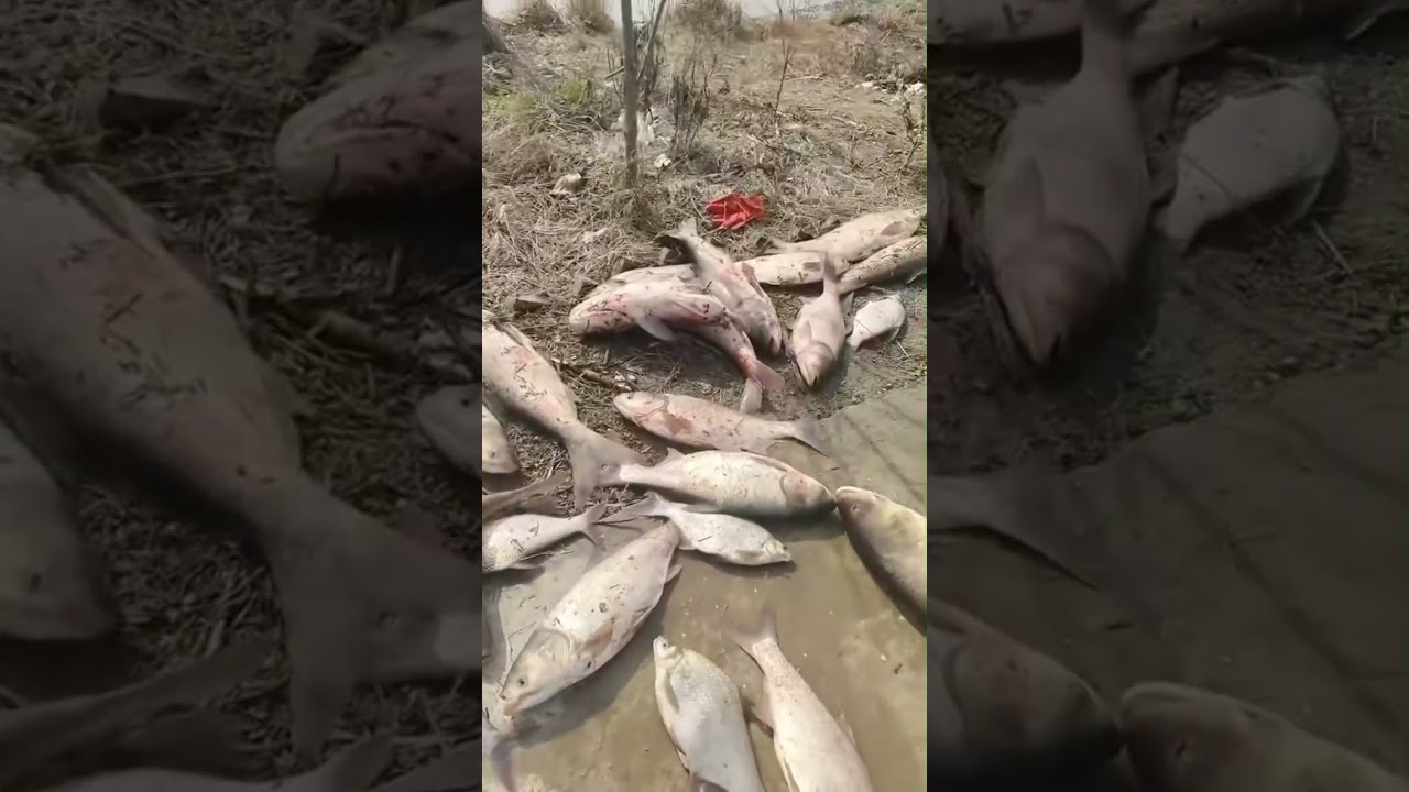 自駕旅游