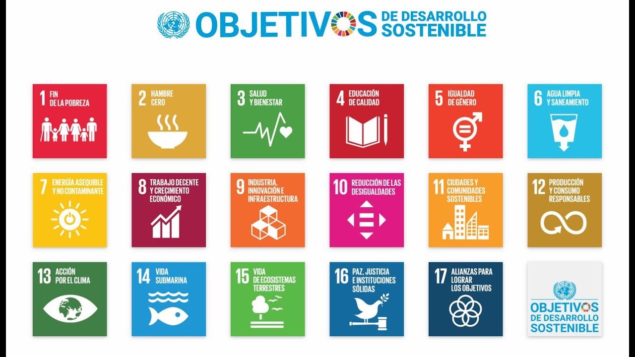 ¿Qué son los ODS?. ¿Por qué es importante nuestra participación?