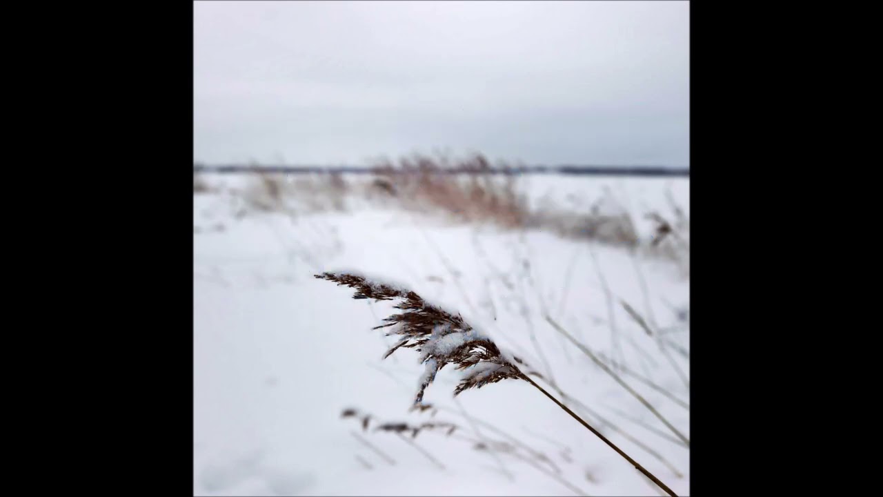 Psalm 704 - Din trofasta kärlek