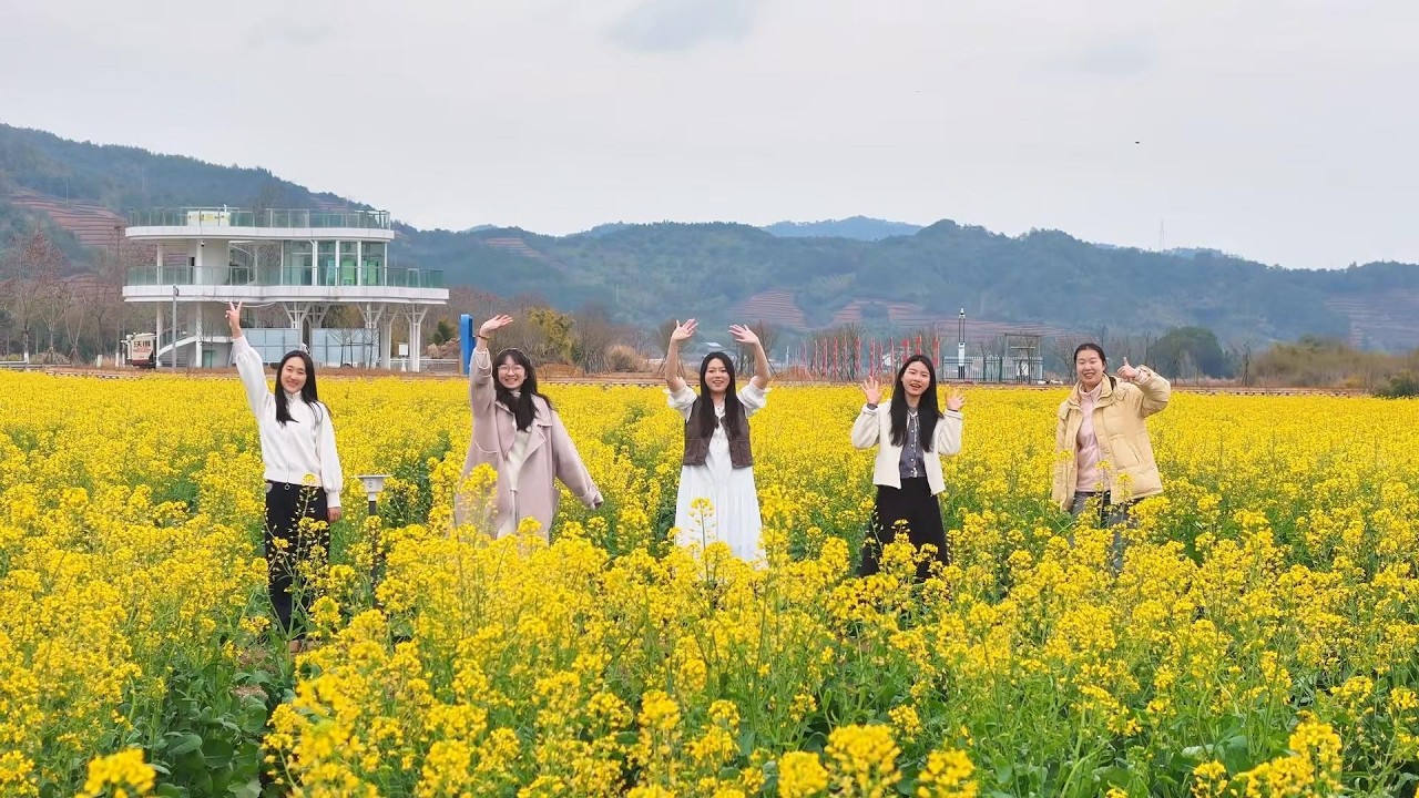 Golden rapeseed flowers are in full bloom! | DiscoverGreatWuyi