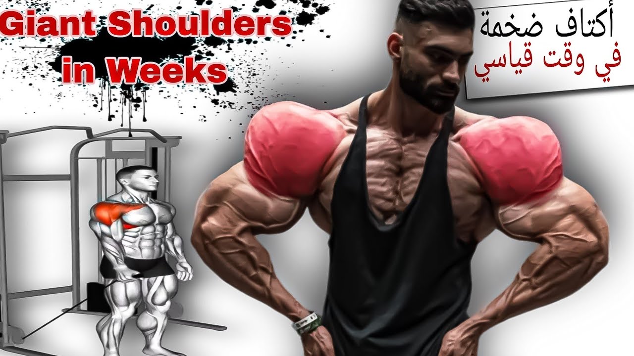 كيف تبني أكتاف 3D؟ أفضل 6 تمارين لاستهداف كافة الزوايا (شرح عملي)
