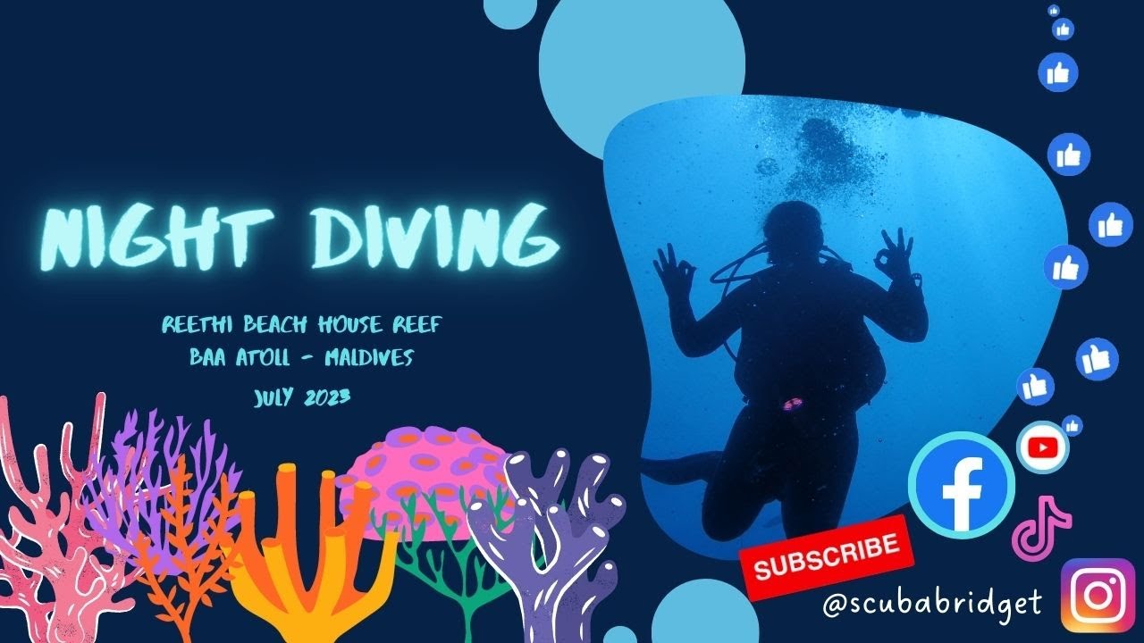 MALDIVES | SCUBA DIVING | NIGHT DIVE | BAA ATOLL | REETHI BEACH RESORT | HOUSE REEF | SHARKS & RAYS