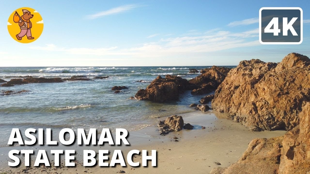 Asilomar State Beach Walking Tour | {4k} 🔊 Binaural Sound