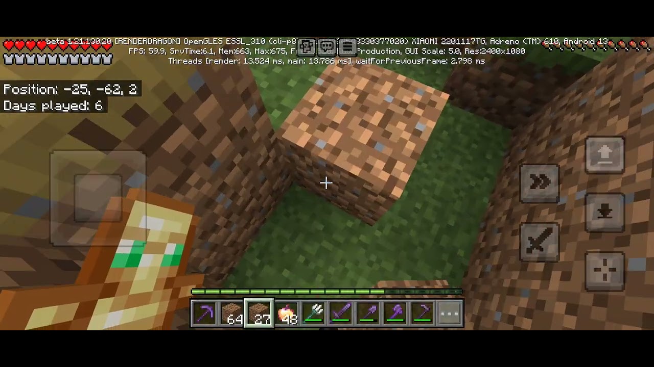 I play new world in Minecraft 