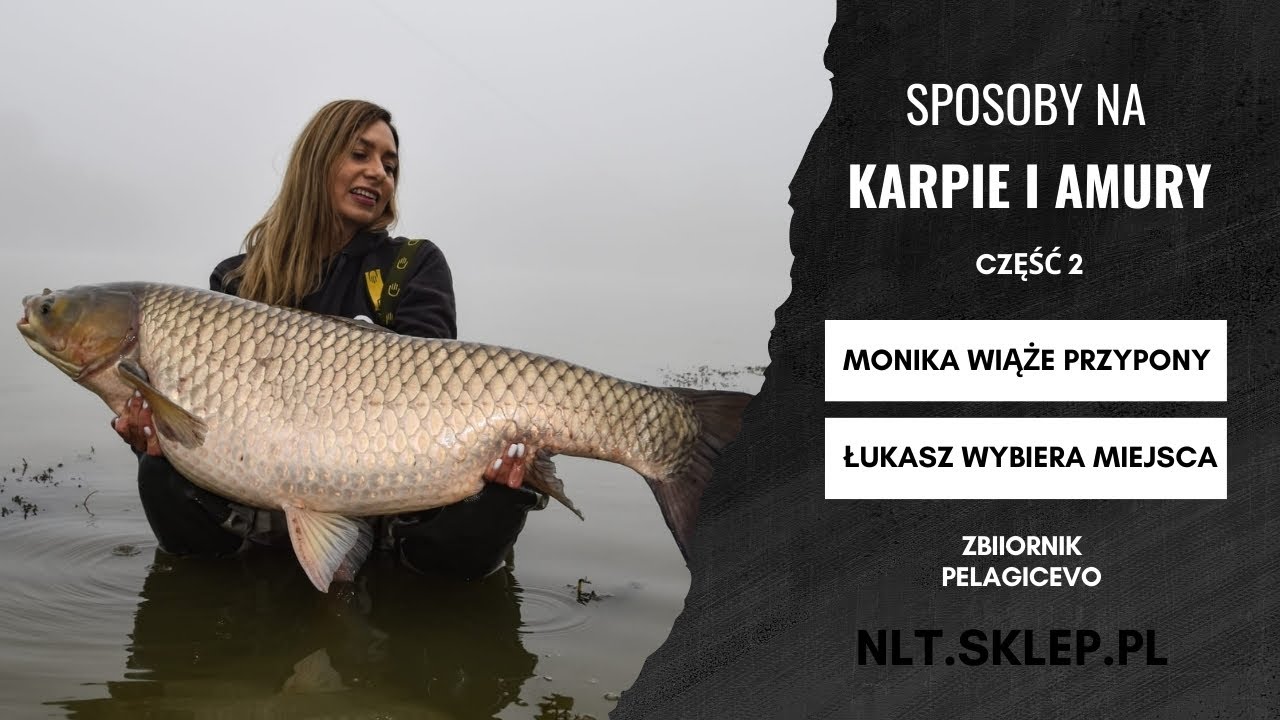 Sposoby na jesienne karpie i amury - część 2 - NLT.SKLEP.PL
