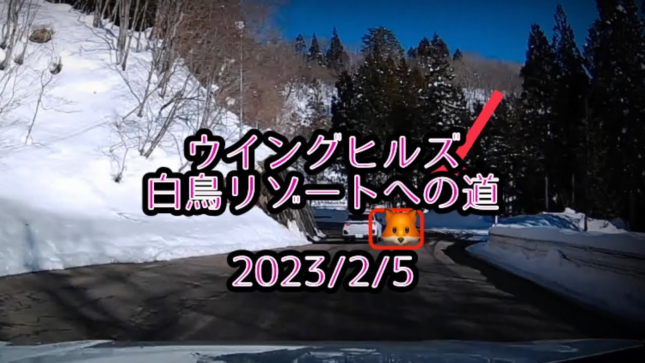 ウイングヒルズ白鳥リゾート　2023/2/5 凍結路を登って行く時の注意　おまけで帰り道に可愛いキツネと遭遇