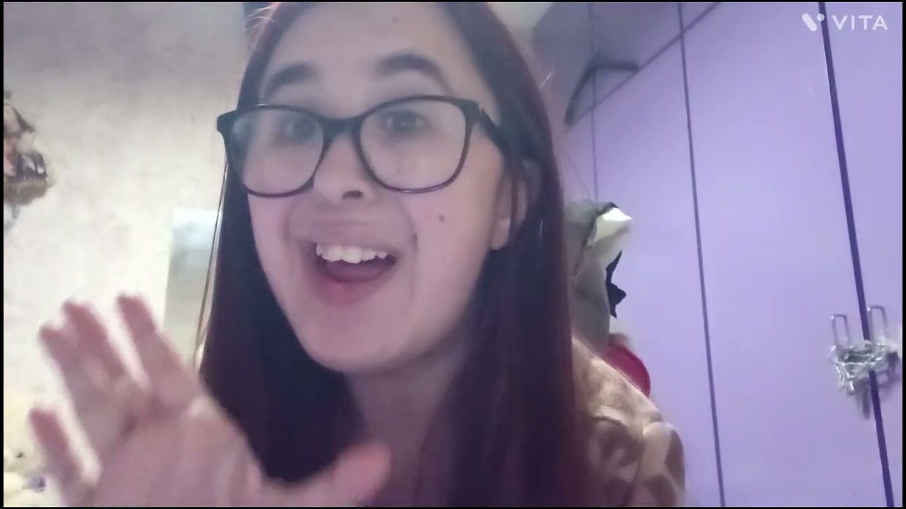 Vlogs 