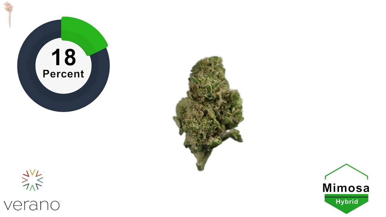Strain Review: Mimosa  | Budder Cone: Quick & Easy