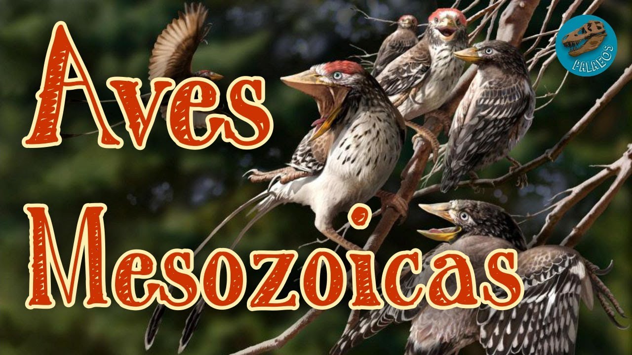 Aves del Mesozoico (Colaboración con Crónicas del Chivizcoyo)