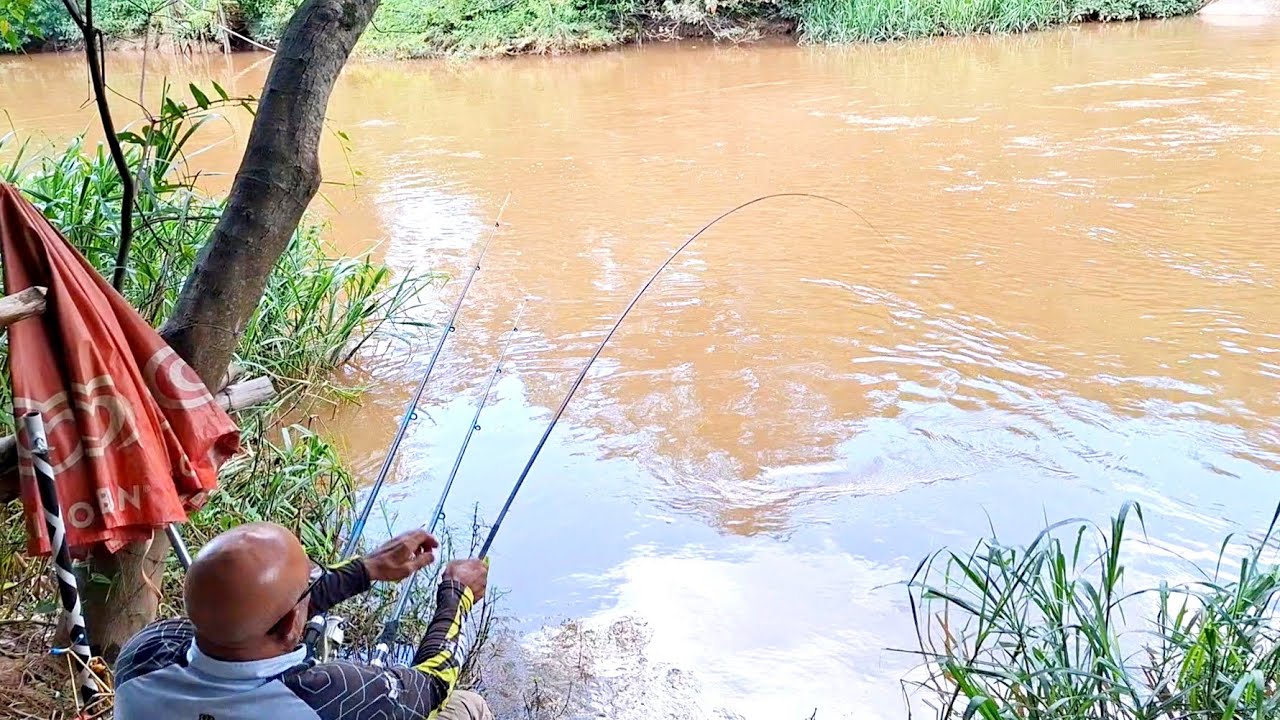 PESCARIA NO RIO ATIBAIA,  JUNTO COM MEU AMIGO JOÃOZINHO PIAPARA 