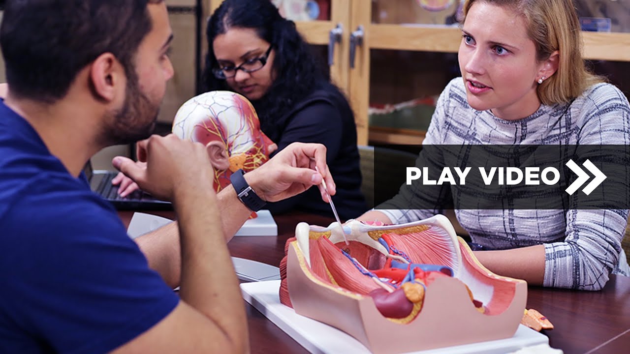 Barry University’s BMS can help you become a doctor or dentist