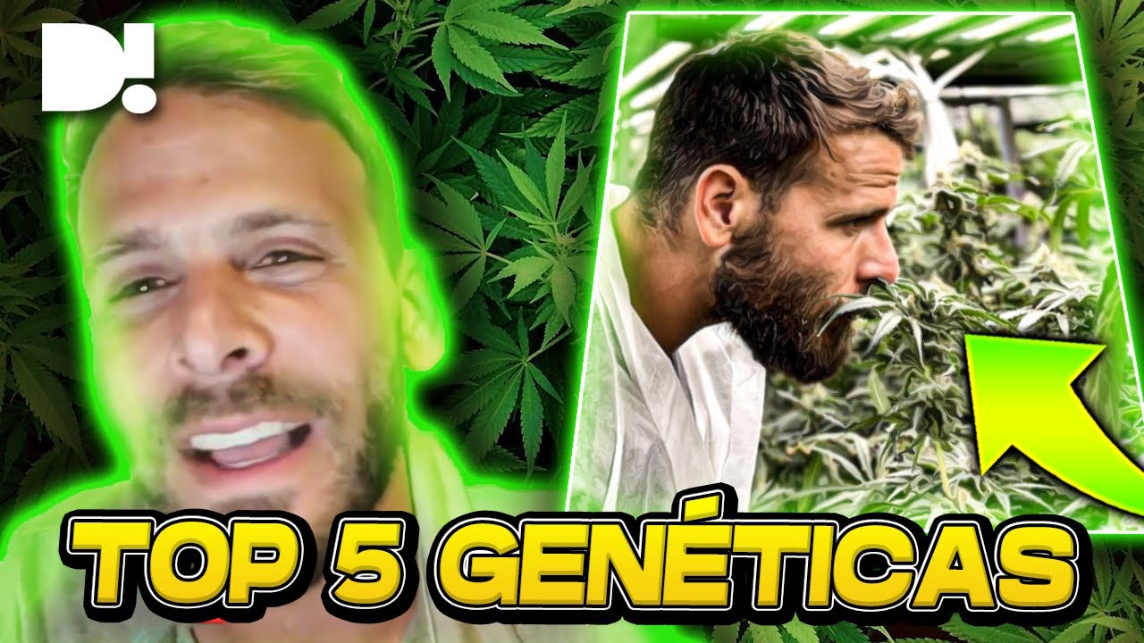 Cannabicultor elige su TOP 5 GENÉTICAS | Matías Litvak en #DAMN!