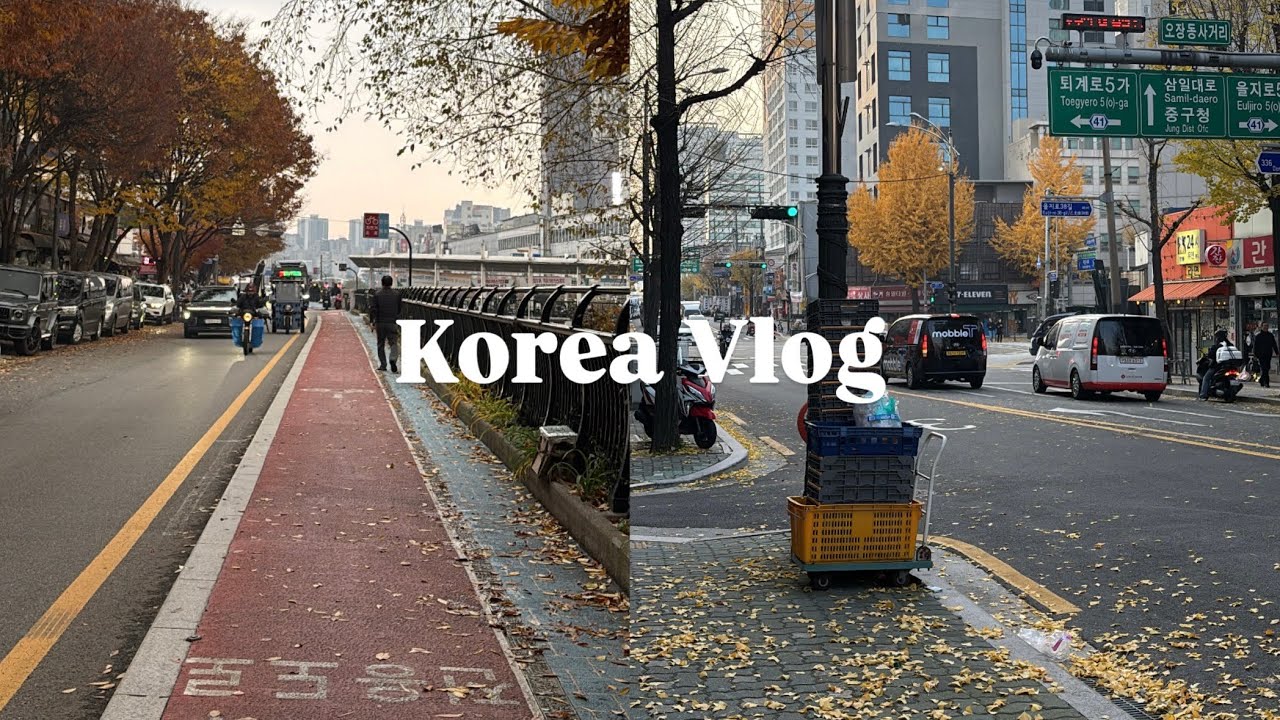 【韓国Vlog】韓国の秋は美しいかった🍁 💭旅のハイライト🌟🇰🇷韓国のローカルな場所🫧