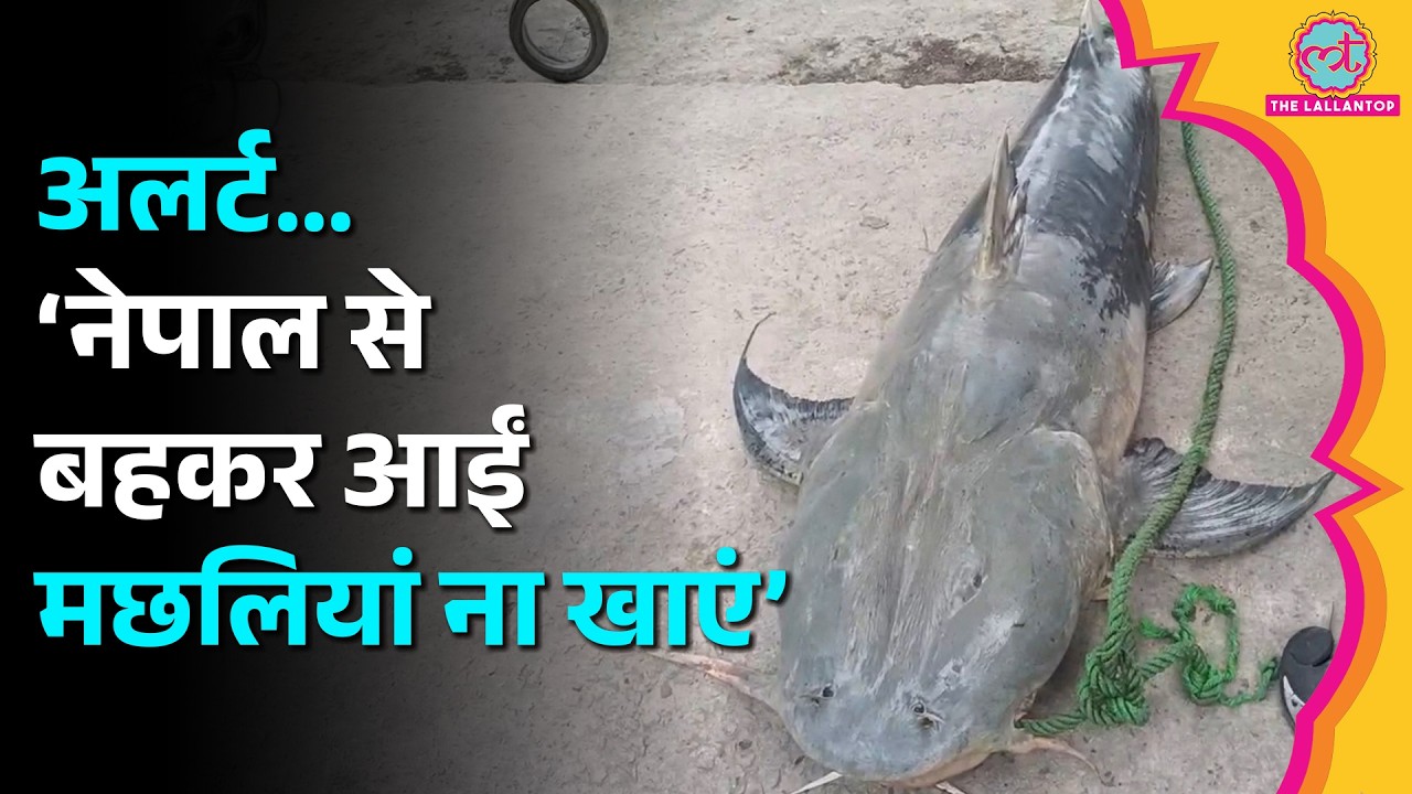 Nepal Flash Floods: Bihar बहकर आ रही मछलियां, सरकार ने गंभीर चेतावनी जारी कर दी