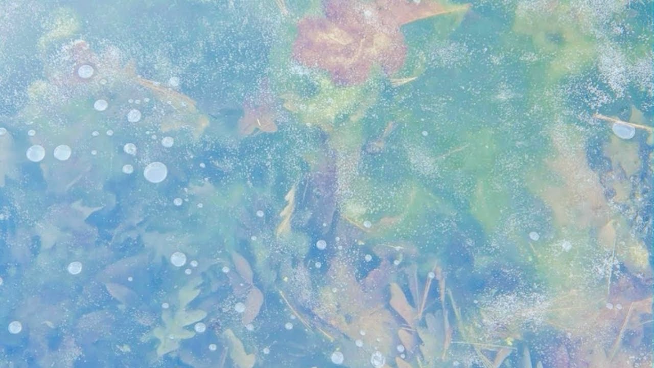 𝐏𝐥𝐚𝐲𝐥𝐢𝐬𝐭 l 탄산수 연못