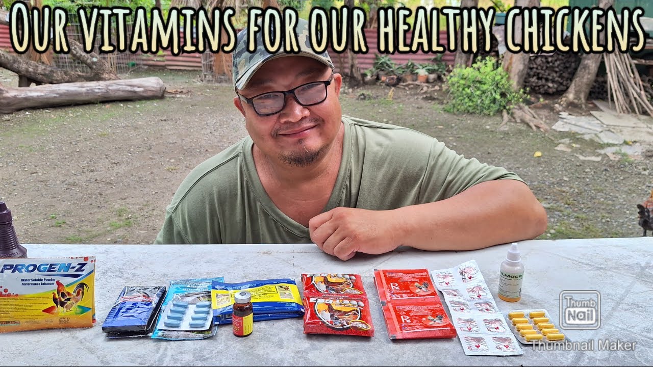 Vitamins na maaasahan para sa aming mga malulusog na manok