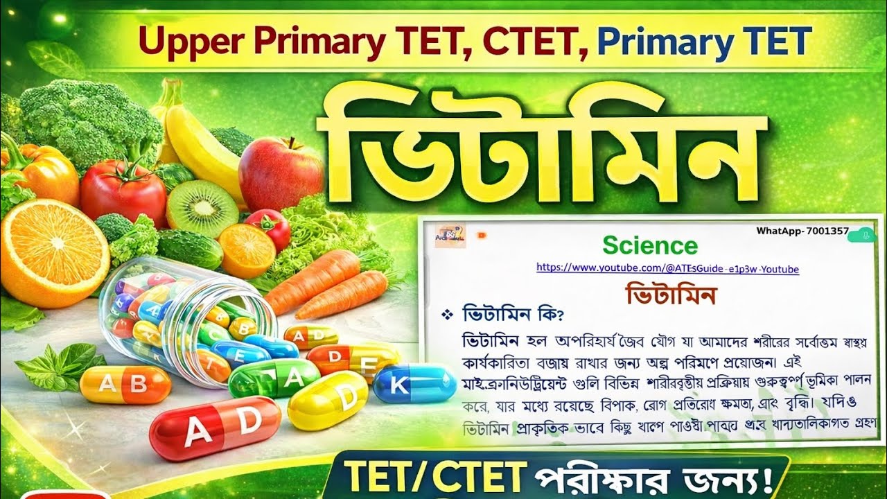 Science class|Vitamin-ভিটামিন|Details class,সহজ ভাবে সম্পূর্ণ বিশ্লেষণ|Upper primary TET,Primary TET
