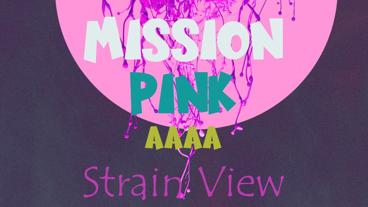 Mission Pink AAA THC 25 % - 29 %--Strain Views---TheKushCirb.com ---#tkc #weed #strainview