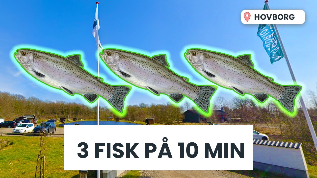 Der var crazy mange fisk hos Hovborg Put And Take
