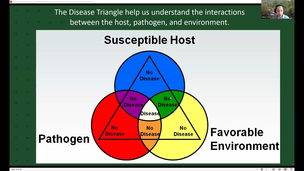 What’s Killing your Plants? Webinar Series | Vegetable Diseases and Pests | May 2nd, 2025