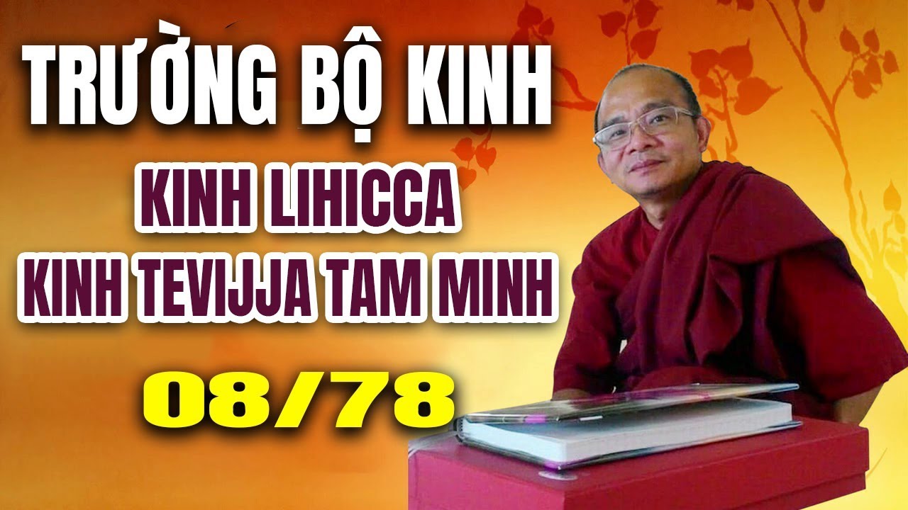 KINH TRƯỜNG BỘ | Buổi 8/78 Kinh Lohicca x Kinh Tevijja Tam Minh│Sư Toại Khanh Thuyết Giảng