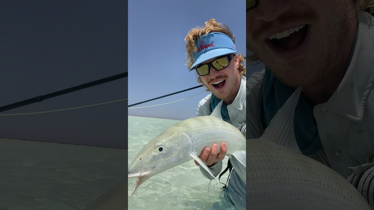 Fly fishing for bonefish in the Middle East two weeks ago!