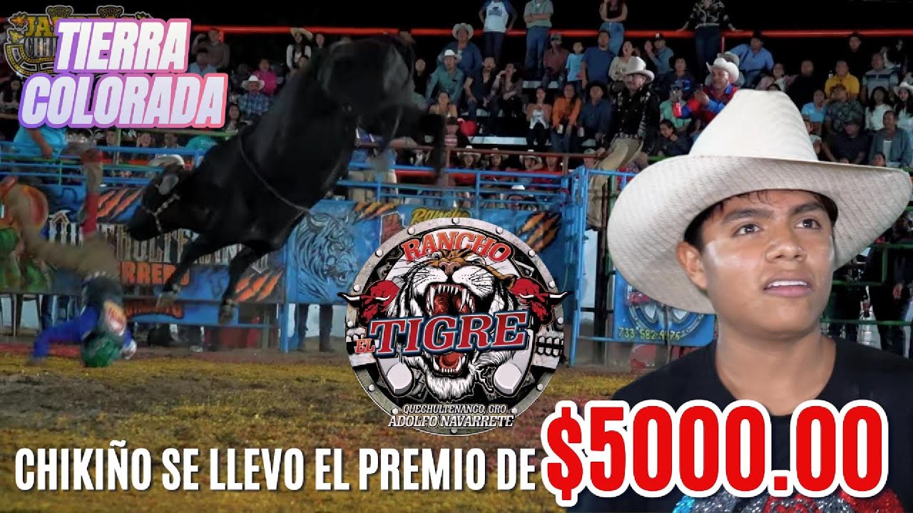 SE ESTRENO UN TORO | LEYENDA EN SU MEJOR MOMENTO | RANCHO EL TIGRE EN TIERRA COLORADA GRO.