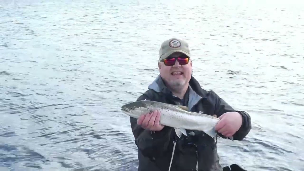 Pæn fisk fra Lillebælt 60+