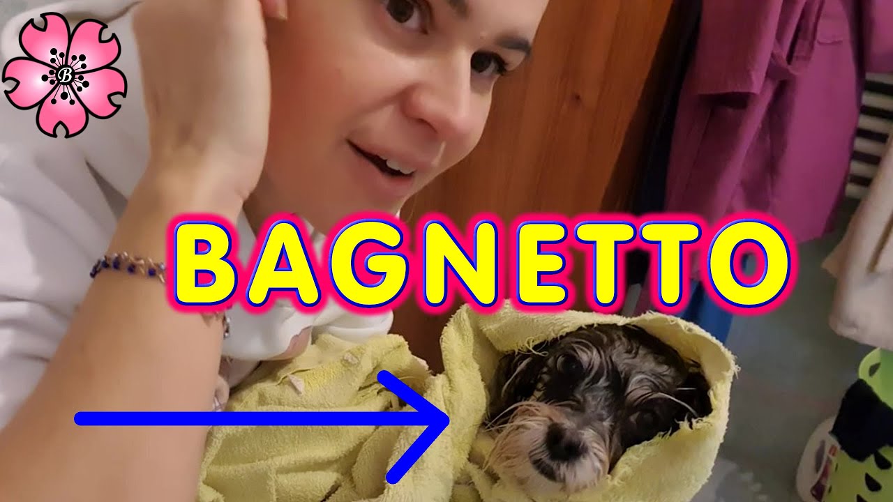 FACCIO IL BAGNETTO alla mia CAGNOLINA TSIRA nel nuovo Bagno.